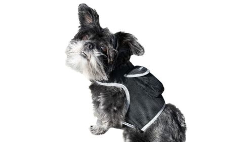 Portable Cat Dog Locator Device Collar Mount Tracker with Power Alerts Size:M