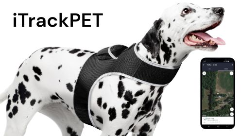 GPRS GSM GPS Pocket Dog Tracking Collar Device Waterproof Pet Locator Size:XXL