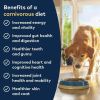 Dog Food ‚Äì All Natural, High Protein, Grain Free and Limited Ingredient with Superfoods (Lamb, 2.2 lb)