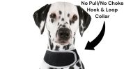 Consistent Realtime Mini Cat Dog GPS Tracking Collar Waterproof Device Size:XXL