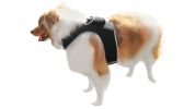 GPRS GSM GPS Pocket Dog Tracking Collar Device Waterproof Pet Locator Size:XXL