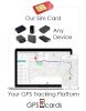 Prepaid GPS Cards for LMTXXS GPS Dogs Collar Tracker / Hybrid Map / Geofences