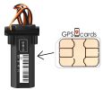 GPS SIM Card for Pet GPS Tracker Dog Cat Realtime Collar Security Finder