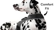 Portable Cat Dog Locator Device Collar Mount Tracker with Power Alerts Size:M