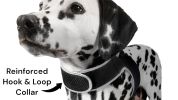 Consistent Realtime Mini Cat Dog GPS Tracking Collar Waterproof Device Size:XXL