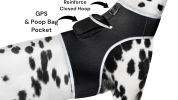 Affordable Mini Realtime GSM GPS GPRS Dog Tracking Collar Mount Device Size:XXL