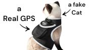 Affordable Mini Realtime GSM GPS GPRS Dog Tracking Collar Mount Device Size:XXL