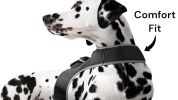 GPRS GSM GPS Pocket Dog Tracking Collar Device Waterproof Pet Locator Size:XXL
