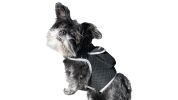 GPRS GSM GPS Pocket Dog Tracking Collar Device Waterproof Pet Locator Size:XXL