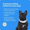 Halo Collar 3 - GPS Dog Fence - Multifunction Wireless Dog Fence & Training Collar with Real-Time Tracking & GPS - Waterproof