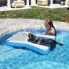 Inflatable Floating Dog Water Ramp Ladder